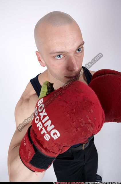 male boxer 3d max